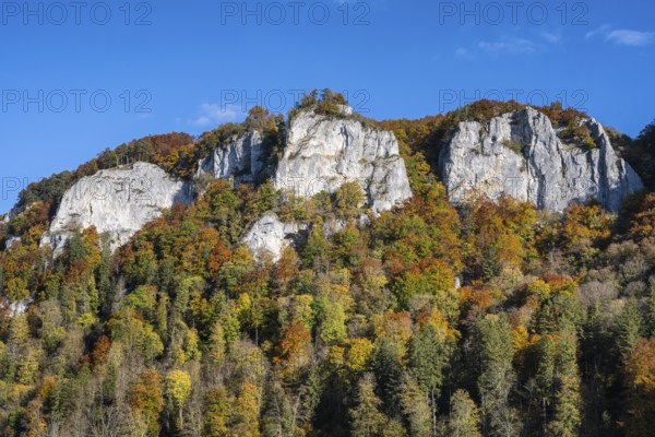 View across the Danube to the distinctive Hausener Zinnen, climbing rocks, Jurassic limestone cliffs, Weissjura, Jura rocks, limestone rocks, surrounded by autumnal vegetation, Hausen im Tal, Upper Danube Valley, Baden-Württemberg, Germany