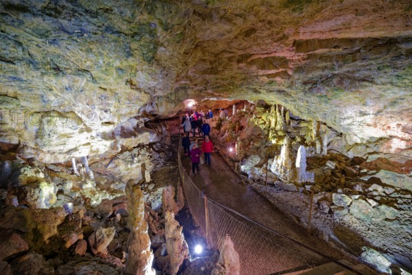 Nebelhöhle, stalactite cave in the Swabian Jura, stalactites, stalactite forest, interior view, Lichtenstein, Baden-Württemberg, Germany