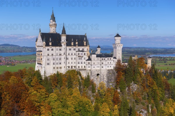 Impressive Neuschwanstein Castle in autumn landscape, surrounded by colorful trees and under blue skies, Schwangau, Königswinkel, Ostallgäu, Allgäu, Swabia, Bavaria, Germany