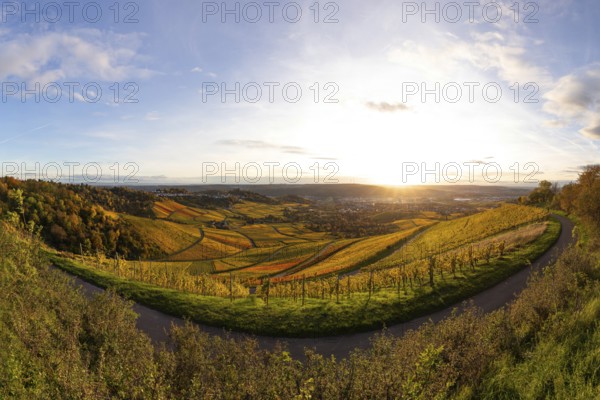 Extensive panorama of the vineyards on Kappelberg near Fellbach in warm evening light with views of Stuttgart and Rotenberg in colorful autumn