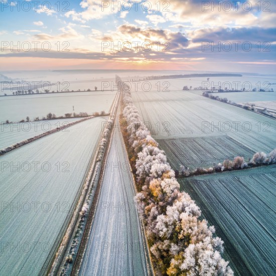 Bird Eye Perspective of Frost Covered Farmland. Seasonal Agricultural Scenery, winter and autumn scene, blue sky with golden light at sunrise, AI generated