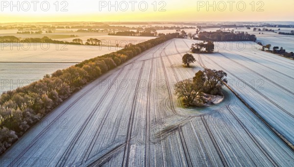 Bird Eye Perspective of Frost Covered Farmland. Seasonal Agricultural Scenery, winter and autumn scene, blue sky with golden light at sunrise, AI generated