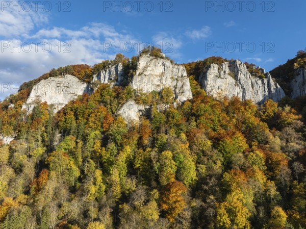 Aerial view of the Upper Danube Valley surrounded by autumn vegetation with the Hausender Peaks above the Danube, climbing rocks, Jurassic limestone cliffs, Hausen im Tal, Swabian Jura, Baden-Württemberg, Germany