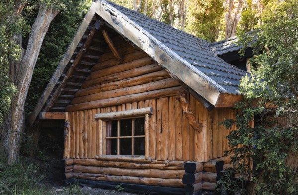 Argentina, Patagonia, Bariloche Island Isla Victoria and Arrayanes forest scenic landscapes