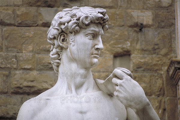 Copy of the David sculpture, detail, original is by the artist Michelangelo Buonarroti, Piazza della Signoria, Florence, Italy