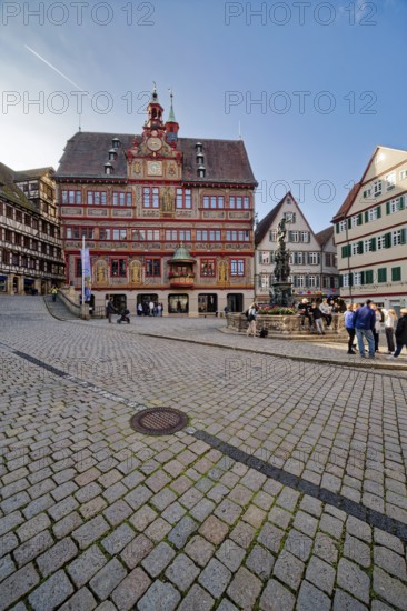 Market square with town hall and Neptune fountain with Neptune and trident from the Renaissance, Tübingen, Baden-Württemberg, Germany