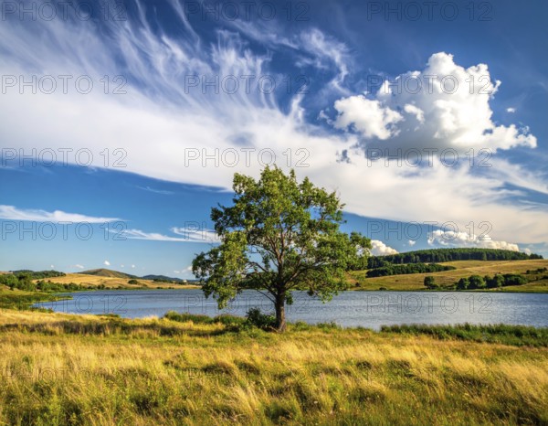Single and lonely tree near to a lake, meadow and lot of wild grass around, hilly wilderness landscape with blue sky, beautiful clouds on the horizon, nobody around, concept of freedom, traveling and beauty of nature, AI generated