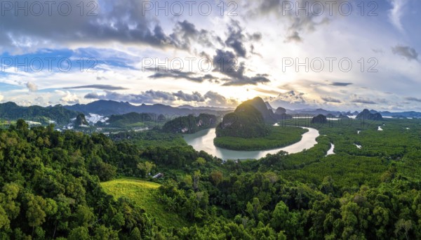 Banner background of tropical forest landscape scene, green wild jungle, cloudy sky at morning, concept and symbol of environmental ecology and sustainable energy, AI generated