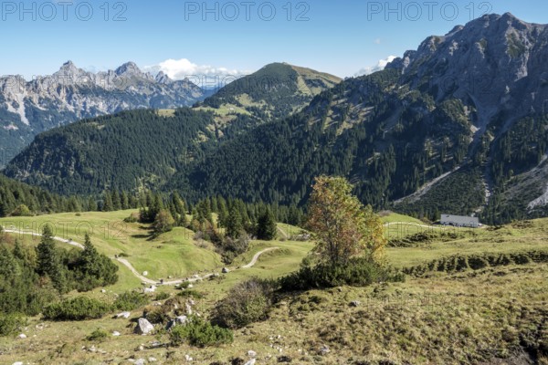View from the Saalfelder Höhenweg to Schartschrofen and Rote Flüh, Tannheimer Tal, Allgäu Alps, Tyrol, Austria