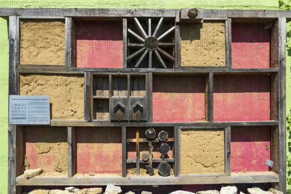 Tierhotel, insect hotel, nesting aid for insects, Kronach, Upper Franconia, Franconia, Bavaria, Germany