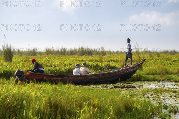 Boat with tourists in Mabamba Swamp, Tourists, Mabamba Swamp, Lake Victoria, Uganda