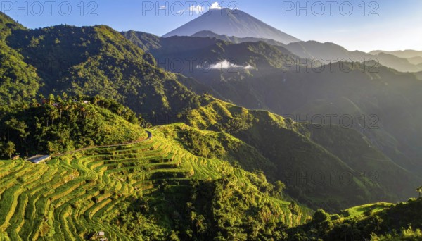 Early morning light bathes Philippines rice terraces cascading down mountain slopes, beautiful golden light, AI generated