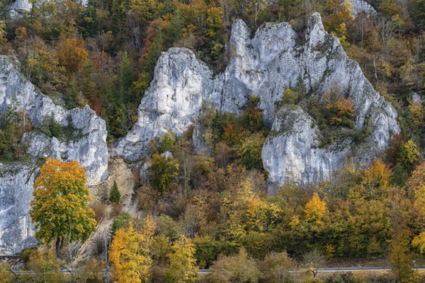 Distinctive Jurassic limestone cliffs in the upper Danube Valley, surrounded by autumn vegetation, Sigmaringen district, Baden-Württemberg, Germany