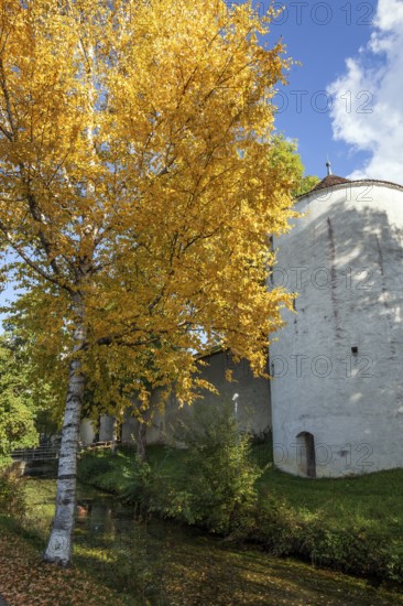 Storage tower with autumn-colored tree, Isny, Allgäu, Baden-Württemberg, Germany