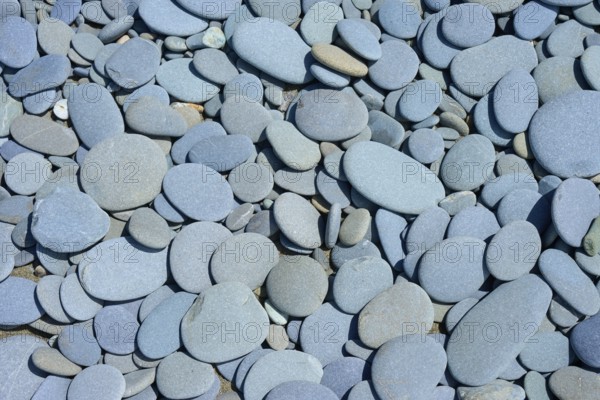 Close-up of smooth grey stones on the beach, Tuhawaiki Point Lighthouse or Jack's Point Lighthouse, Scarborough, Timaru, South Island, New Zealand