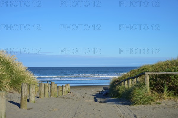 View of quiet beach path with ocean views under clear skies, Spencer Park Beach, Spencerville, Christchurch, New Zealand South Island, New Zealand