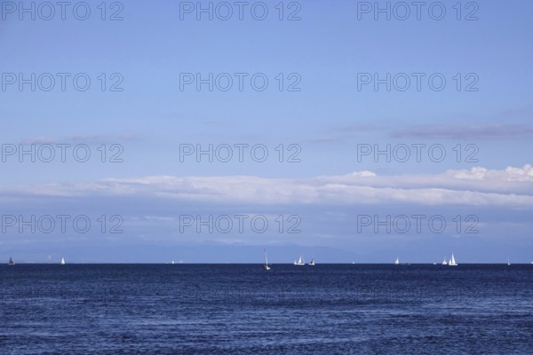 Lake Constance with sailboats, Baden-Württemberg, summer, Germany