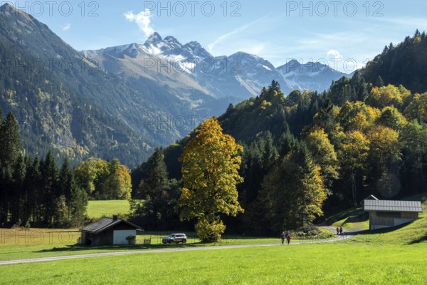 Weiden und Bauernhäuser, near Schwand, Stillachtal, Oberstdorf, Oberallgäu, Allgäu, Bavaria, Germany