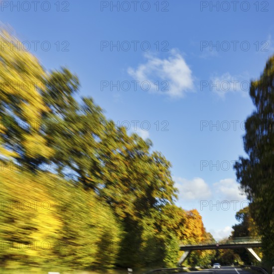 Car ride over winding country road, autumn leaves, sunny autumn weather, motion blur, Barntrup, Ostwestfalen-Lippe, Teutoburger Wald Eggegebirge nature park Park, North Rhine-Westphalia, Germany