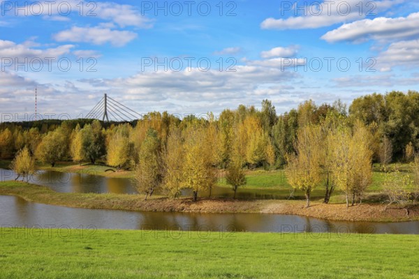 Wesel, Lower Rhine, North Rhine-Westphalia, Germany - autumn on the Lippe, trees with colorful autumn leaves in the restored river floodplain area of Büdericher Insel above the mouth of the Lippe into the Rhine, Lippe estuary nature reserve, in the back the Lower Rhine bridge Wesel
