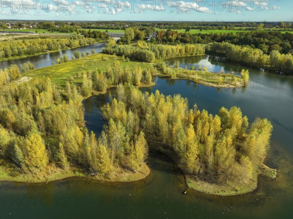 Wesel, Lower Rhine, North Rhine-Westphalia, Germany - autumn on the Lippe, trees with colorful autumn leaves in the restored river floodplain area of Büdericher Insel above the mouth of the Lippe into the Rhine, Lippe estuary nature reserve