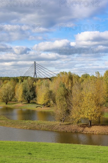 Wesel, Lower Rhine, North Rhine-Westphalia, Germany - autumn on the Lippe, trees with colorful autumn leaves in the restored river floodplain area of Büdericher Insel above the mouth of the Lippe into the Rhine, Lippe estuary nature reserve, in the back the Lower Rhine bridge Wesel