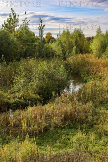 Bottrop, North Rhine-Westphalia, Germany - Autumn on the restored Boye, the tributary of the Emscher, was converted into a near-natural body of water, flood protection through redesigned flooding areas, the Boye is now wastewater-free after the construction of a parallel sewer, belongs to the Emscher river system and thus to the Emscher conversion, was previously an open, aboveground waste water channel, mixed water channel with surface water and waste water