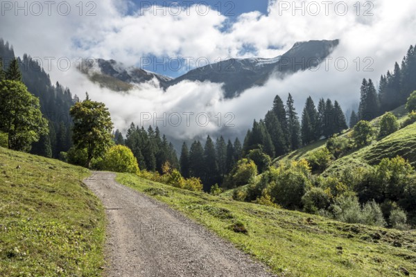 Hiking trail in the Dietersbachtal from Gerstruben to Alpe Dietersbach, Nebelschwanden hang in the valley, Oberstdorf, Allgäu Alps, Oberallgäu, Bavaria, Germany