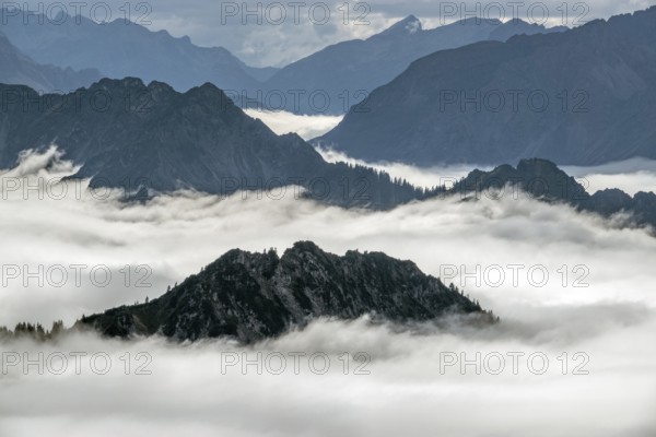 View from the Nebelhorn summit to mountains of the Allgäu Alps, mountains rising from fog in the valley, Oberstdorf, Oberallgäu, Allgäu, Bavaria, Germany