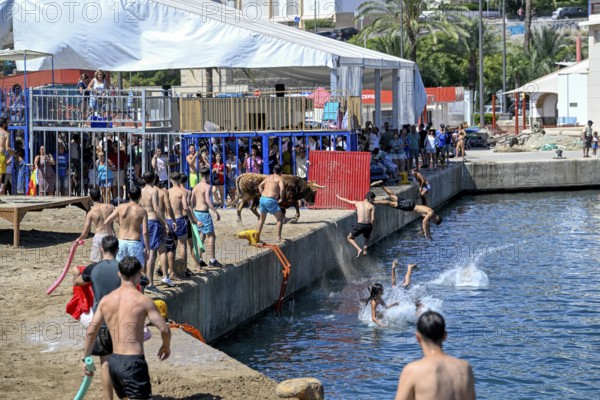 Bous a la Mar Fair, in English Bulls in the Sea, Bullfighting, Javea or Xàbia, Alicante Province, Comunidad Valenciana, Spain