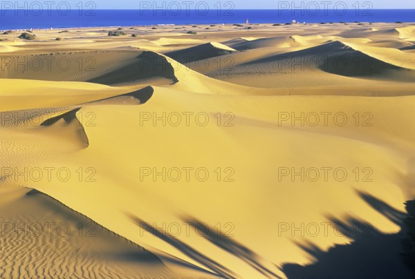 Sand dunes, Maspalomas, Playa del Ingles, Gran Canaria, Canary Islands, Spain