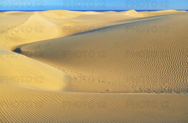 Sand dunes, Maspalomas, Playa del Ingles, Gran Canaria, Canary Islands, Spain