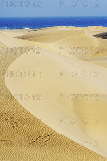 Sand dunes, Maspalomas, Playa del Ingles, Gran Canaria, Canary Islands, Spain