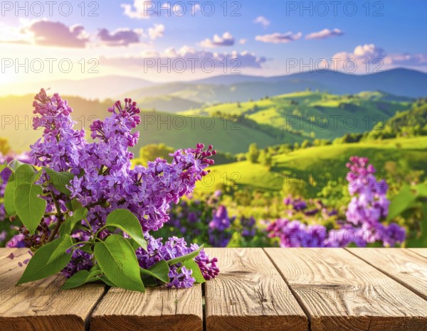 Beautiful Spring Lilacs Bloom Over Wooden Table with Rolling Hills in Background, sunrise at horizon, AI generated