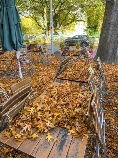 Autumn in town, beer garden, pub terrace under deciduous trees, swamp oak, floor and table chairs are covered with fallen leaves, Essen, North Rhine-Westphalia