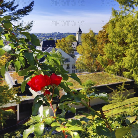 Konrad Adenauer House, view from the garden of St. Mary's Church, Stiftung Bundeskanzler-Adenauer-Haus, Rhöndorf, Bad Honnef, North Rhine-Westphalia, Germany