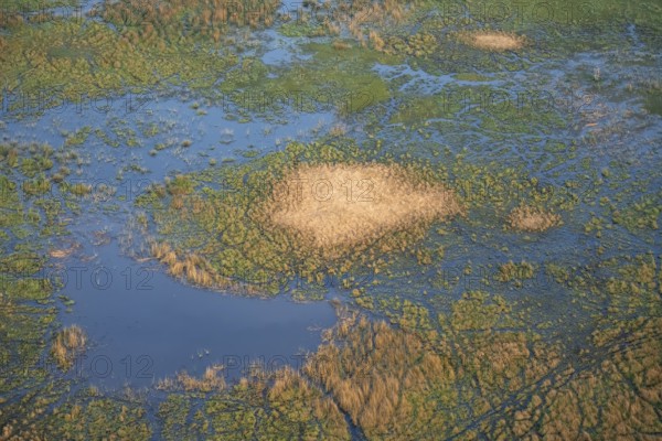 Freshwater marshland, marshland, aerial view, Okavango Delta, Botswana