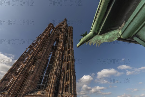 Strasbourg's Gothic cathedral stands majestically under a cloudy sky. In the background is an ornate and detailed iron gargoyle, which gives the scene a unique charm. Bas Rhin, Alsace, France