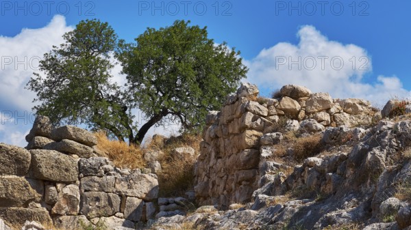 Archaeological site, UNESCO World Heritage Site, Mycenae, Mycenae, important city in pre-classical times, Peloponnese, peninsula, Greece