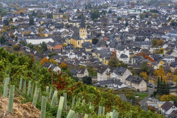 View of the old town of Ahrweiler, renovated, restored, partly rebuilt after the flood in the Ahr Valley in July 2021, vineyard, Rhineland-Palatinate