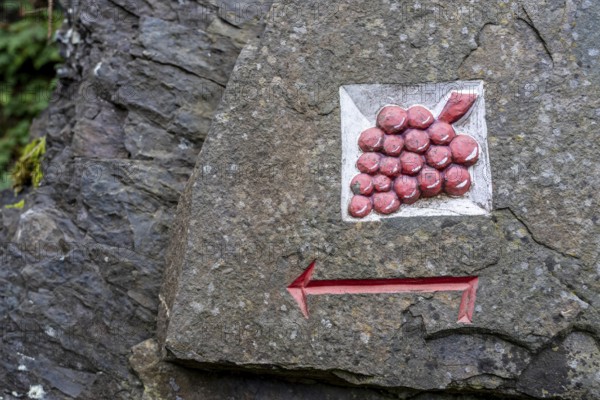Guide to the red wine hiking trail in the Ahr Valley, logo, here near Altenahr, Rhineland-Palatinate