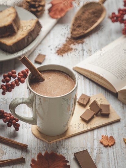 Cup of hot chocolate with cinnamon stick and autumn decorations next to a book
