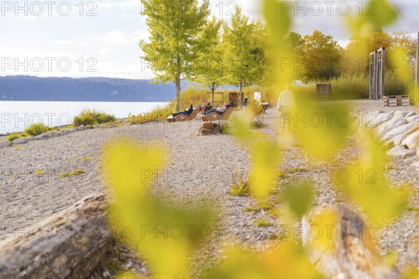 Autumn scene on the lakeside with trees and wooden seating, Überlingen, Lake Constance, Germany