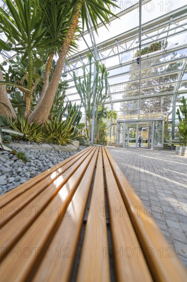 Modern greenhouse with wooden benches filled with tropical plants, Überlingen, Lake Constance, Germany