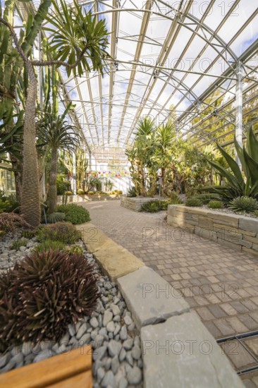 Green winter garden with various plants and palm trees under a glass roof, Überlingen, Lake Constance, Germany