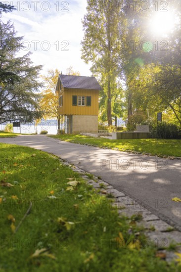 Path leads past a wooden house surrounded by tall trees in sunlight, Überlingen, Lake Constance, Germany