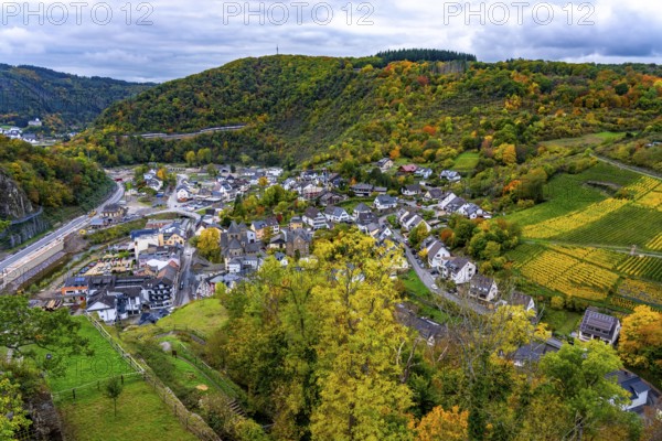 Vineyards in autumn in the central Ahr valley, near Altenahr, Rhineland-Palatinate