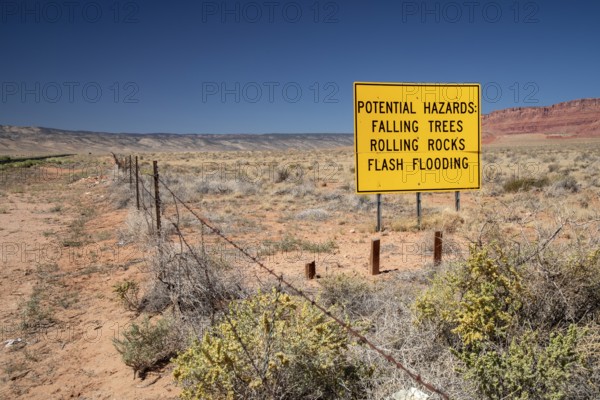 Jacob Lake, Arizona - A roadside sign warns of the hazards motorists may face as they approach the burn zone of the White Sage and Dragon Bravor fires. Burned trees from the Dragon Bravo Fire. The wildfires burned 200, 000 acres on the north rim of the Grand Canyon and in Kaibab National Forest
