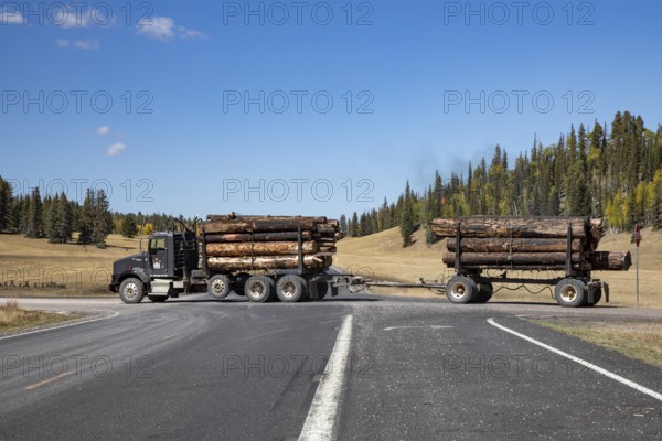 Jacob Lake, Arizona - A logging truck hauls burned trees from the burn zone of the Dragon Bravo Fire. The wildfire burned 145, 000 acres on the north rim of the Grand Canyon and in Kaibab National Forest