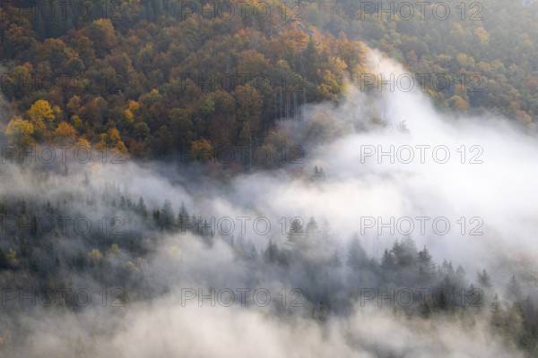 View from the Knopfmacherfelsen into the Danube valley, mixed forest, autumn colours, fog, autumn, Fridingen, Danube valley, Upper Danube nature park Park, Baden-Württemberg, Germany